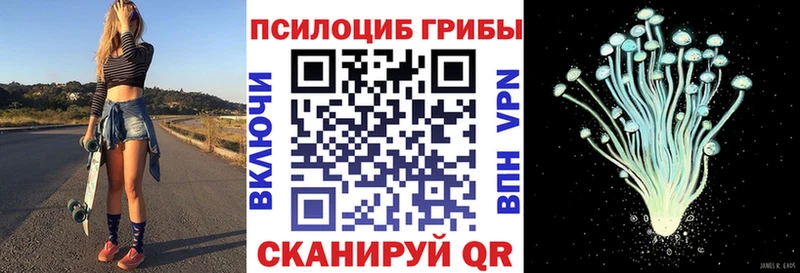 закладки  Невинномысск  Псилоцибиновые грибы Psilocybe 