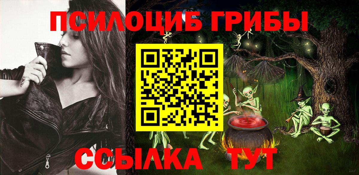 Псилоцибиновые грибы Psilocybe  как найти   Вход с VPN  Невинномысск  Псилоцибиновые грибы прущие грибы 