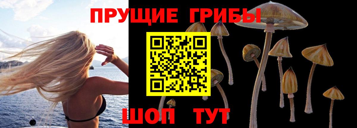 Галлюциногенные грибы Cubensis Невинномысск